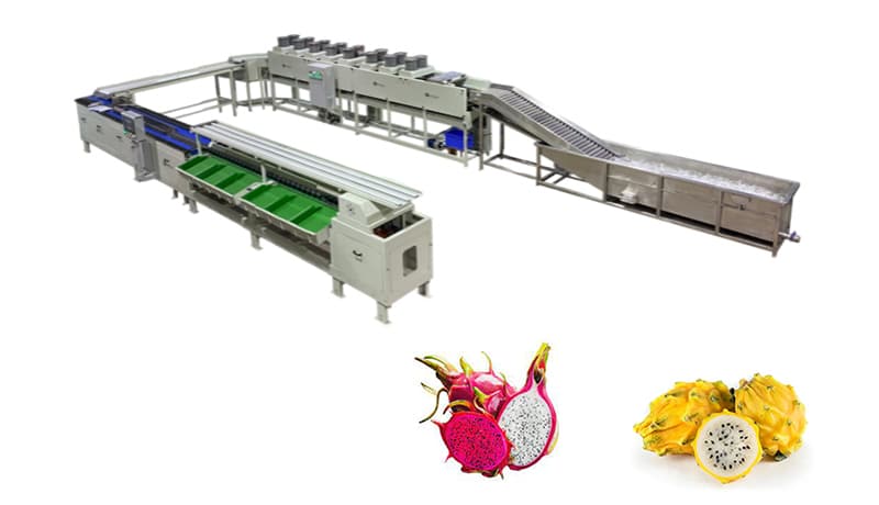 images/1712562744672Máquina clasificadora de frutas kirin.jpg